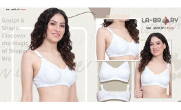 Minimizer Bra or Shaper Bra